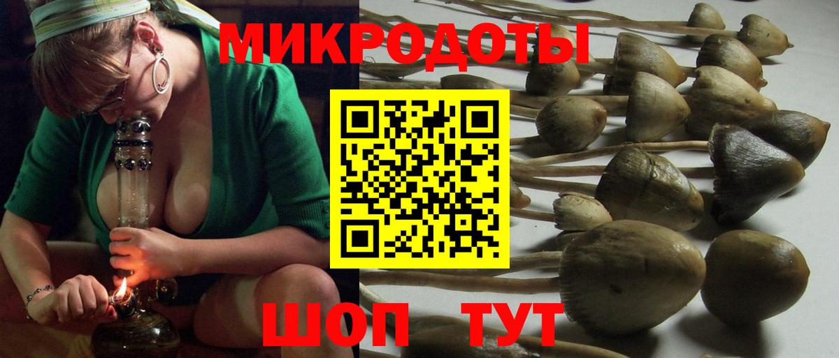 Аргун  Галлюциногенные грибы мухоморы  Псилоцибиновые грибы мухоморы  Вход с VPN 