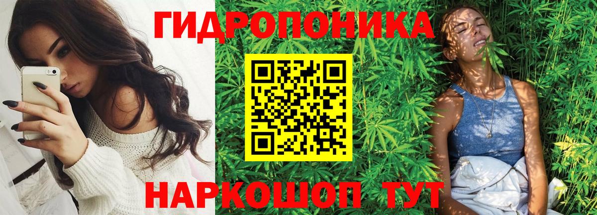 Каннабис White Widow Аргун